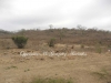 Land for sale in Monte Cristi.